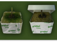 Водоросли на кубиках минваты