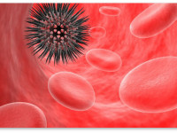 Экстракты конопли могут убивать стафилококк, не воздействуя на психику