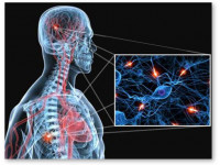 Конопля победит рассеянный склероз?