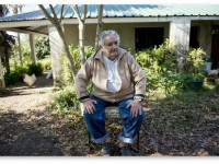 Рынок легальной марихуаны в Уругвае будет лучше, чем в Колорадо?