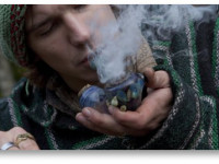 Конопляные конкурсы и состязания войдут в программу Денверской окружной ярмарки в Колорадо