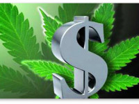 Исследование: Подсчитан потенциал налогообложения легального рынка марихуаны в США