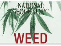 Медицинская марихуана - главная тема июньского номера National Geographic. И другие заголовки