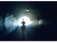 "Волшебные грибы" могут избавить от страха смерти раковых больных