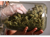 Нью-Йорк: Теперь медицинскую марихуану смогут рекомендовать даже медсестры