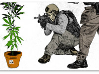 Почему следует легализовать все психоактивные вещества (да, в том числе героин)