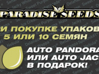 Налетай на бонусы от Paradise Seeds!