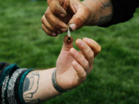 13 причин, почему 2013-ый был лучшим годом для марихуаны