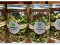 Очередной рекорд: 60% американцев поддерживают легализацию марихуаны, согласно опросу Gallup