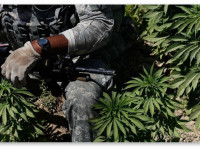 США: Власти позволят врачам лечить ветеранов медицинской марихуаной