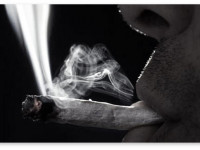 Марихуана: Пять главных изменений за последние 10 лет