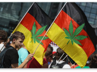 Das Дубас: Берлин хочет поэкспериментировать с легализацией марихуаны