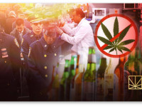 Знай врага в лицо: Пять главных противников конопли