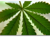 Небраска, США: Медицинская марихуана одобрена Сенатом. И другие заголовки