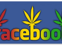 Кайфоломы. Как Google и Facebook относятся к марихуановой рекламе