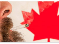 Видео: Премьера первой конопляной рекламы пройдет на канадском ТВ