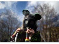 Не будь кайфоломом! 5 причин навсегда быть изгнанным из компании планокуров