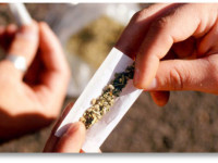 Нью-Гемпшир: Каждый десятый подросток курит марихуану Нью-Гемпшир: Каждый десятый подросток курит марихуану