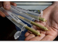 Города Калифорнии банят продажи марихуаны, не дожидаясь референдума по легализации