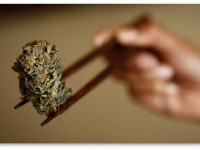 США: Федеральное агентство вновь рассмотрит вопрос о легальном статусе марихуаны