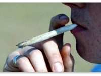 Шотландия: Эксперт призывает легализовать марихуану и экстази как лекарства