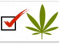 Плюс 3 процента за неделю? Согласно новому опросу, уже 63% американцев выступают за легализацию марихуаны