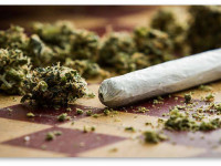 США: Статистика смертей от марихуаны в 2015 году и почему эта цифра должна вас встревожить