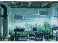 Угольный фильтр: Срок жизни и замена