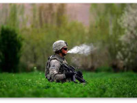 США: Конопляным магазинам запретили обслуживать военнослужащих