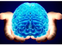 Ученые из Гарварда объяснили, как вещества конопли защищают мозг от ВИЧ