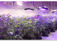 Имеет ли смысл ставить лампы LED в небольшой бокс