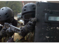 Доклад ACLU: Полицейский спецназ воюет с мирным населением