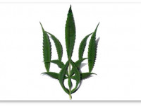 Украина возрождает производство конопли