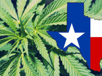 Техас: Законопроект о декриминализации конопли не прошёл