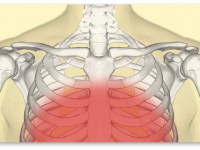 Таблетки с ТГК: Новое лекарство от болей в груди?