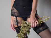 Топ 7 сортов каннабиса для индора 2017-2018