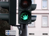 Марихуана и безопасность движения - данные весьма противоречивы