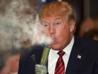 США: Горькая правда о легализации 2017 года