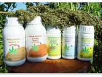 Удобрения для конопли