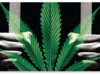 США: Конгресс одобрил амнистию для 6,000 человек, осуждённых за хранение конопли