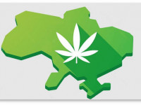 Украина: В Раде предложили легализовать марихуану для контуженных в Донбассе силовиков