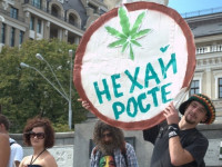 Украинская наука высказалась в поддержку конопли