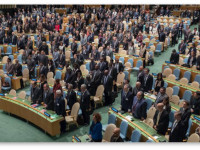 Тень Колорадо витала над Саммитом ООН по наркополитике