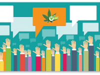 Американские выборы: За кого проголосуют планокуры?