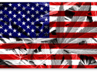 На выборы - под конопляным флагом! Самый полный обзор инициатив по легализации в США