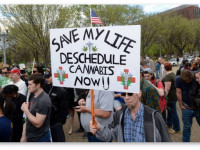 США: Все больше врачей выступают за легализацию марихуаны США: Все больше врачей выступают за легализацию марихуаны