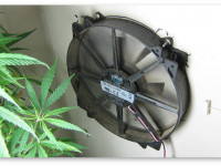 6 шагов к решению 99% проблем конопли. Шаг 4 - Вентиляция и обдув