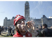 Канада: Власти Канады намерены полностью легализовать марихуану