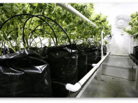 О дистиллированной воде, pH и аэрации