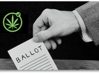 Как марихуана повлияет на выборы в США в 2016-ом, "президентском" году?